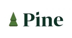 Pine